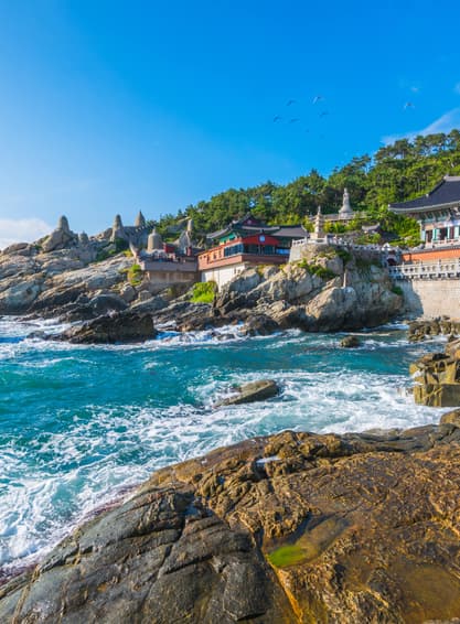 ทัวร์เกาหลี ปูซาน โซล WEKR-BSSB2025 ถ้ำไวน์แห่งกิมแฮ หมู่บ้านวัฒนธรรมฮวินนยออุล ออยุคโดสกายวอร์ค วัดแฮดงยงกุงซา บิน BX (BKK)