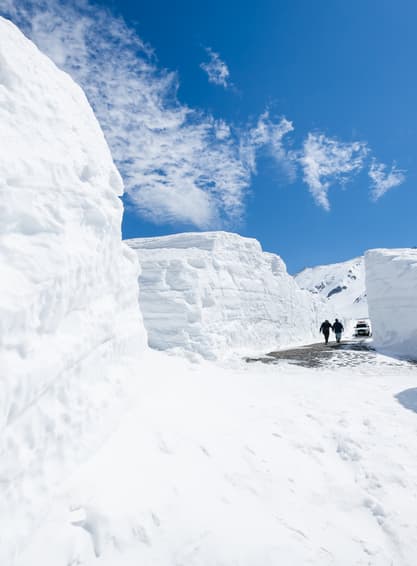 ทัวร์ญี่ปุ่น โอซาก้า เกียวโต 6 วัน 4 คืน XJ339 วัดเบียวโดอิน โอโมเตะซันโด คามิโคจิ สะพานกัปปะ  บิน XJ (DMK)