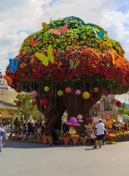 ทัวร์เกาหลี โซล 5 วัน 4 คืน WDICN003 เกาะนามิ สวนสนุกเอเวอร์แลนด์ ย่านยอนนัมดง ย่านฮงแด บิน BX (BKK)