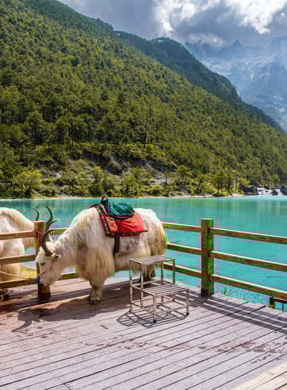 ทัวร์จีน ลี่เจียง 6 วัน 5 คืน 2ULJG-DR004 ชมดอกไม้ตามฤดูกาล วัดเจ้าแม่กวนอิม ช่องแคบเสือกระโจน สระมังกรดำ บิน DR (BKK)