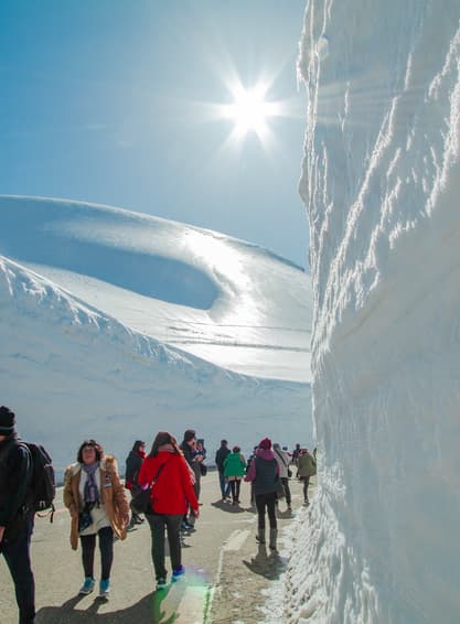 ทัวร์ญี่ปุ่น โตเกียว ทาคายาม่า 6 วัน 4 คืน กำแพงหิมะ Japan Alps คามิโคจิ ทุ่งดอกเนโฟีล่า บิน TG (BKK)