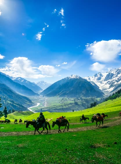 ทัวร์อินเดีย แคชเมียร์ 6 วัน 4 คืน GO1DEL-TG004  สวนชาลิมาร์ สวนทิวลิป ศรีนาคา ทัชมาฮาล บิน TG (BKK)