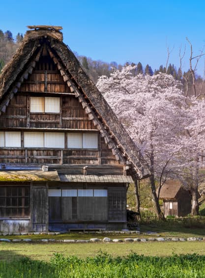 ทัวร์ญี่ปุ่น โอซาก้า 6 วัน 4 คืน ZGKIX-2612MM Nabana no Sato Winter Illumination หมู่บ้านชิราคาวาโกะ วัดคิโยมิสึ (ซากุระ) บิน MM (ฺBKK)