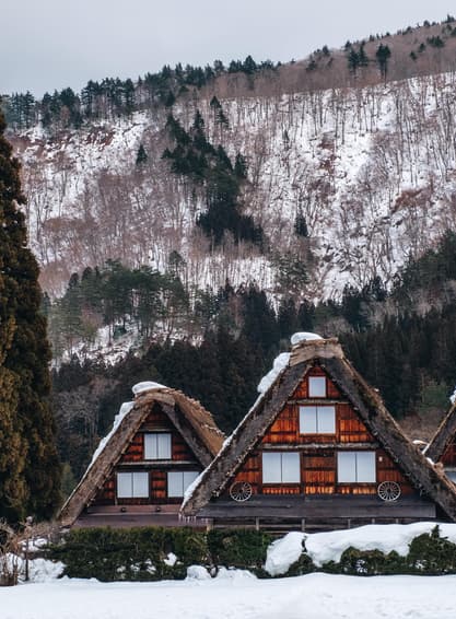 ทัวร์ญีปุ่่น นาโกย่า ทาคายาม่า โอซาก้า 6 วัน 4 คืน GO2NGO-TG081 หมู่บ้านชิราคาวาโกะ ศาลเจ้าชิราฮิเงะ ศาลเจ้าฟูชิมิอินาริ ตลาดปลาคุโรมง บิน TG (BKK)  