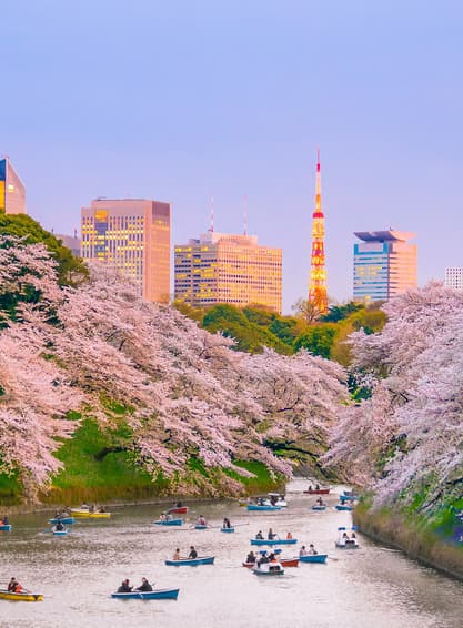 ทัวร์ญี่ปุ่น โตเกียว 5 วัน 3 คืน NRT_S05_XJ_XJ สวนจิโดริกะฟุจิ วัดอาซากุสะ ชินจูกุ บิน XJ (DMK) 