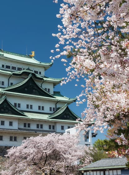 ทัวร์ญี่ปุ่น นาโกย่า 6 วัน 4 คืน GO2NGO-TG079 ทะเลสาบคาวากูจิโกะ Pinkmoss สะพานคัปปาบาชิ ศาลเจ้าฟูชิมิอินาริ บิน TG (BKK)