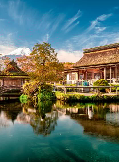 ทัวร์ญี่ปุ่น โตเกียว 5 วัน 3 คืน XJ340 สวนสมุนไพรทาบินิกกิ ฟูจิคาวากุจิโกะ วัดนาริตะซัน ย่านชินจูกุ บิน XJ (BKK)