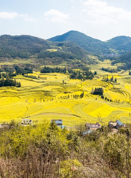 ทัวร์จีน หนานหนิง 6 วัน 5คืน 2UNNG-GX005 สวนดอกซากุระผิงปา หมู่บ้านชนเผ่าแม้วซีเจียง น้ำตกเต๋อเทียน บิน GX (BKK)