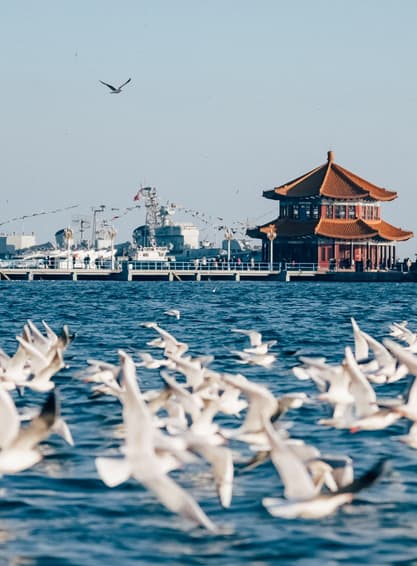 ัทัวร์จีน ชืงเต่้า 6 วัน 4 คืน BT-TAO01_SC จุดชมวิว Signal Hill Park วัดจ้านซาน ถนนจงซาน สะพานจ้านเฉียว บิน SC (BKK)