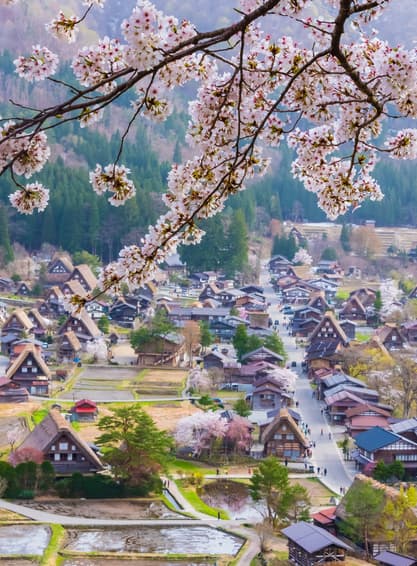 ทัวร์ญี่ปุ่น นาโกย่า 6 วัน 4 คืน BT-NGO_S01_XJ แม่น้ำยามาซากิ ศาลเจ้าโอสึ นาบานาโนะ ซาโตะ ชิราคาวาโกะ (ซากุระ) บิน XJ (DMK)