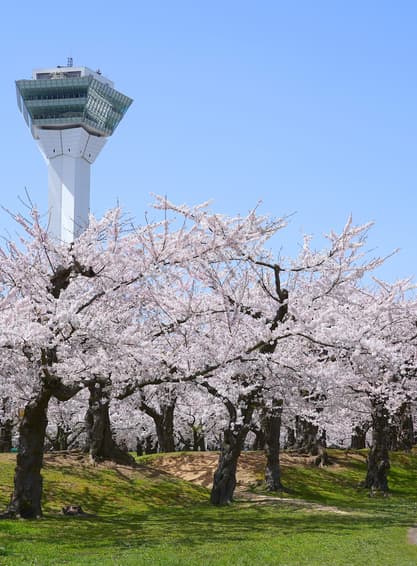 ทัวร์ญี่ปุ่น ฮอกไกโด 6วัน 4 คืน BT-CTS_S02_XJ หุบเขาจิโกกุดานิ ป้อมโกเรียวกาคุ โกดังอิฐแดงคาเนโมริ อุสุซัง (ซากุระ) บิน XJ (DMK)