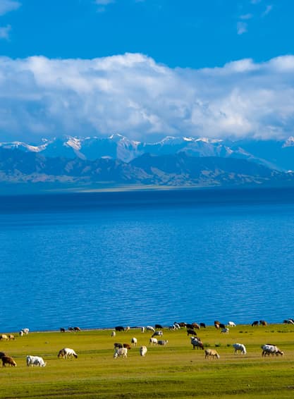 ทัวร์จีน ซินเจียง 6 วัน 4 คืน ZGURC-2602UQ เทือกเขาเทียนซาน แกรนด์แคนยอนตู๋ซานสือ ไซหลีมู่ ทะเลสาบไซลี่มู่ บิน UQ (BKK)