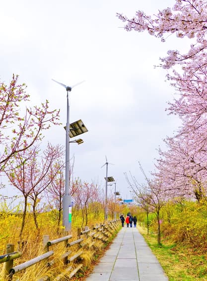 ทัวร์เกาหลี โซล 5 วัน 3 คืน  สะพานแขวนมาจัง ทะเลสาบซอกชน คาเฟ่ลับกลางป่า พระราชวังชางด็อกกุง บิน SL (DMK)