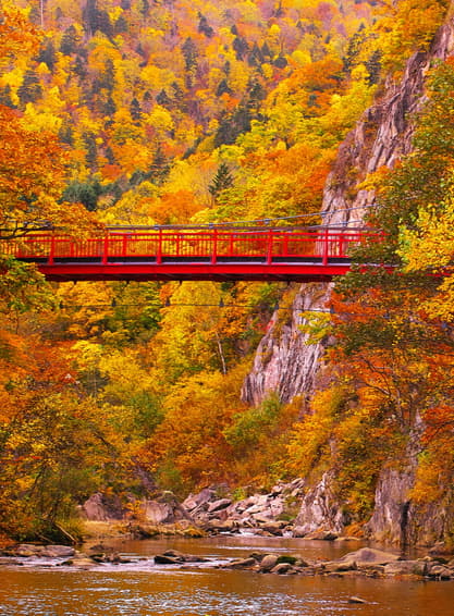 ทัวร์ญี่ปุ่น ฮอกไกโด 6 วัน 4 คืน GO2CTS-VZ004 สะพานโจซังเคฟุทามิ สวนสัตว์อาซาฮิยามะ หมู่บ้านราเมงอาซาฮิคาวะ บลูพอนด์ (ผ่อน 0%) บิน VZ (BKK)