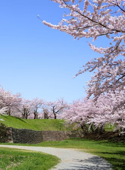 ทัวร์ญี่ปุ่น ฮอกไกโด 5 วัน 3 คืน ZGCTS-2609VZ สวนสาธารณะโกเรียวคาคุ โกดังอิฐแดงริมน้ำ เนินฮาจิมันซากะ (ชมซากุระ) บิน VZ (BKK)