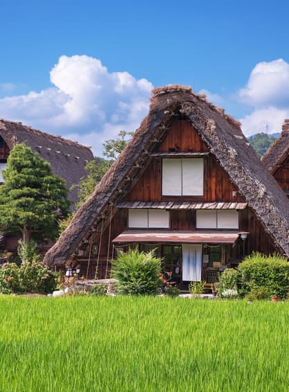 ทัวร์ญี่ปุ่น โตเกียว โอซาก้า 6 วัน 4 คืน JTG292 วัดโทไดจิ Hakuba Iwatak Mountain Resort Gondoa lift บิน TG (BKK) 