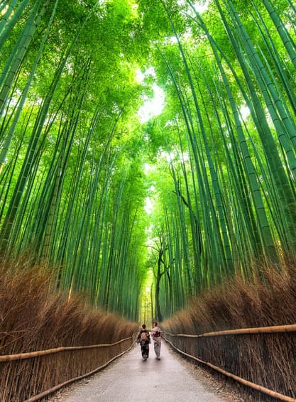 ทัวร์ญี่ปุ่น โอซาก้า 5 วัน 3 คืน BT-KIX_S04_XJ ป่าไผ่อาราชิยาม่า สะพานโทเก็ตสึเคียว วัดคินคะคุจิ ศาลเจ้าฟูชิมิอินาริ บิน XJ (DMK)