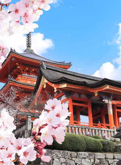 ทัวร์ญี่ปุ่น โอซาก้า เกียวโต 5 วัน 3 คืน JVZ297 ศาลเจ้าฟูชิมิอินาริ ย่านซันมาชิซูจิ หมู่บ้านมรดกโลกชิราคาวาโกะ ย่านชินไชบาซิ บิน VZ (CNX)