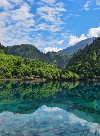 ทัวร์จีน เฉิงตู จิ่วจ้ายโกว 6 วัน 5 คืน T2G-TFU08TG อุทยานจิ่วจ้ายโกว อุทยานหวงหลง ถนนคนเดินจินหลี่ เมืองเก่าซงพาน บิน TG (BKK)\