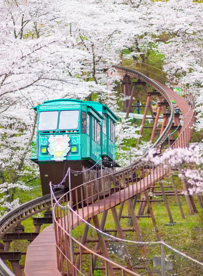 ทัวร์ญี่ปุ่น เซนได 6 วัน 4 คืน RJ-XJ132 ปราสาทฮิโรซากิ ล่องเรือเทบิเค พระใหญ่โชวะ พิพิธภัณฑ์เนบุตะ บิน XJ (DMK)