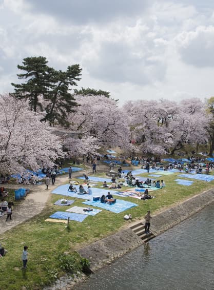 ทัวร์ญี่ปุ่น ทาคายาม่า 6 วัน 4 คืน GO2NGO-TG084 หมู่บ้านชิราคาวาโกะ ทะเลสาบบิวะ  ตลาดปลาคุโรมง บิน TG (BKK)