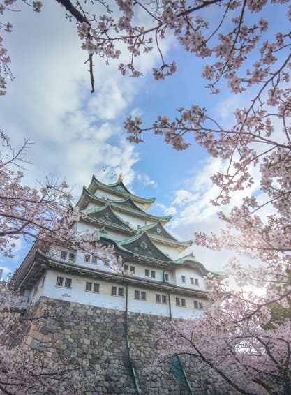 ทัวรืญี่ปุ่น นาโกย่า 6 คืน 4 คืน PJPNGO54-SL เมืองเก่าทาคายาม่า ตลาดปลาสึรุกะ ลานสกีสึไกเกะโคเก็น บิน SL (DMK)