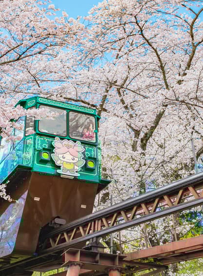 ทัวร์ญี่ปุ่น โอซาก้า โตเกียว VN012 หมู่บ้านมรดกโลกซิราคาวาโกะ ชมแมวยักษ์ 3 มิติ หมู่บ้านโอชิโนะฮักไก บิน VN618 (BKK) 