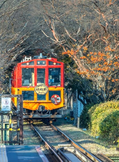 ทัวร์ญี่ปุ่น โอซาก้า 6 วัน 4 คืน GO2KIX-TG097 วัดไทเซคิจิ สวนโออิชิ  ปาร์ค ถนนสายชาเขียว บิน TG622 (BKK)
