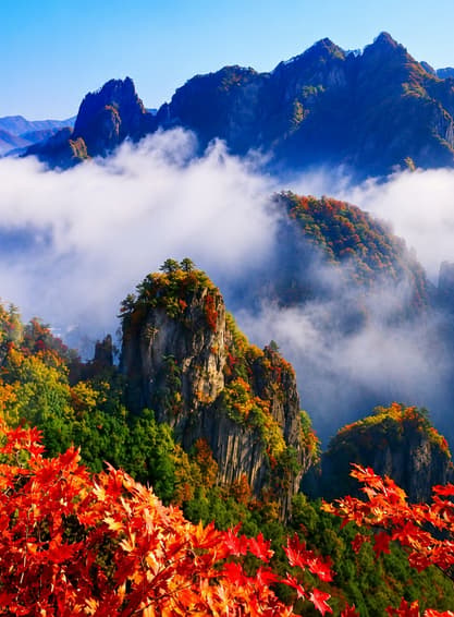 ทัวร์จีน ต้าเหลียน 6 วัน 4 คืน WDDLC003 หาดหญ้าทะเลแกง อุทยานกวนเหมินซาน เมืองเวนิสแห่งตะวันออก บิน SC (BKK)