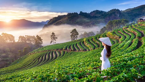บินตรงเชียงใหม่ ทัวร์ต่างประเทศ
