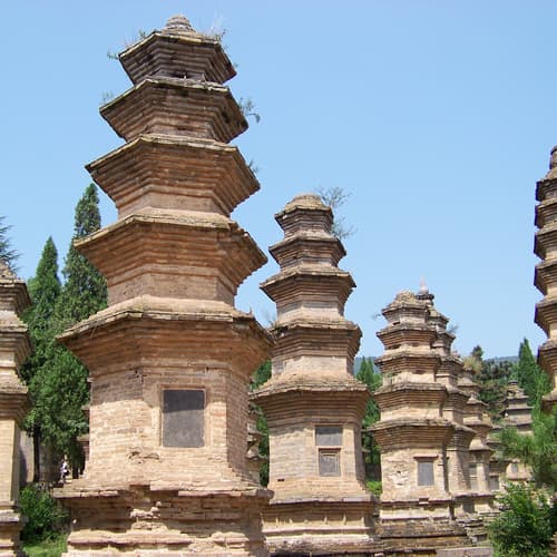 ป่าเจดีย์