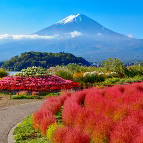 สวนโออิชิพาร์ค