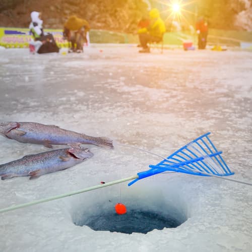 เทศกาลตกปลาน้ำแข็ง