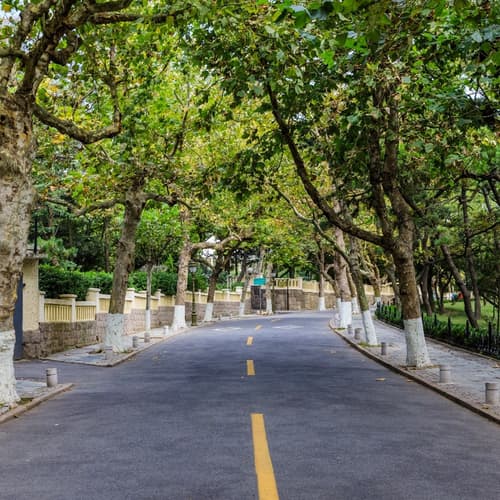 ถนนแปดสาย (ปาต้ากวน)