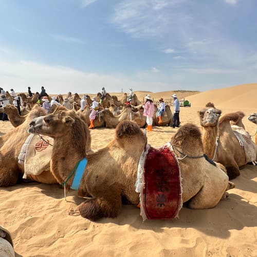 เนินทรายเสี่ยงซาวาน