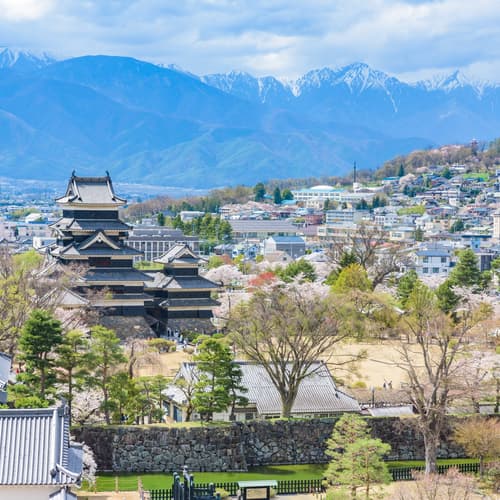 มัตสึโมโต้