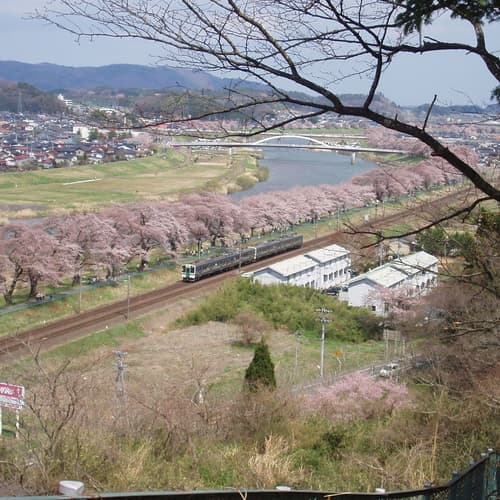 ซากุระ ณ สวนฟุนาโอกะโจชิ