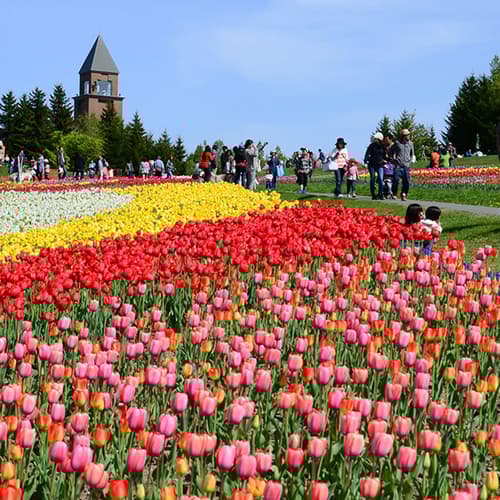 สวนสาธารณะทาคิโนะ ซูซูรัน