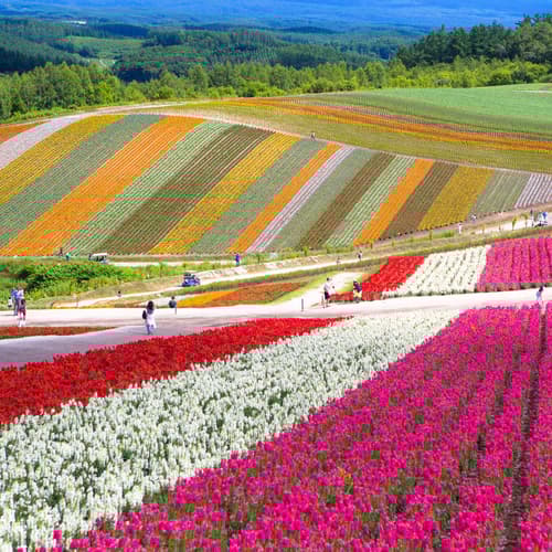 สวนชิคิไซโนะโอกะ