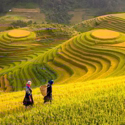 หมู่บ้านชาวเขากั๊ตกั๊ต