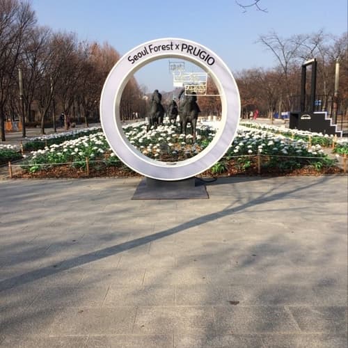 สวนป่ากรุงโซล