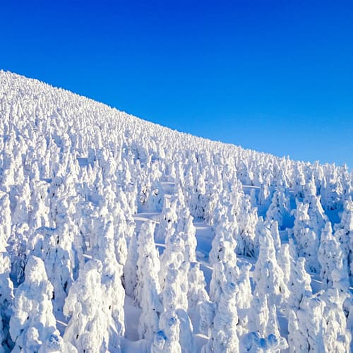 Snow Monster