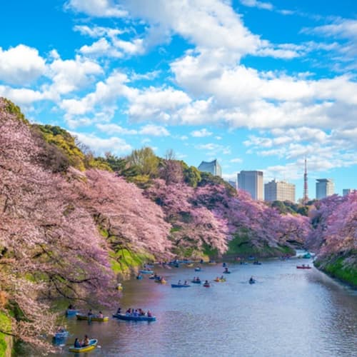 สวนจิโดริงะฟูชิ