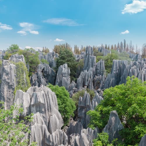 สวนป่าหินเล็ก/ป่าหินดำ