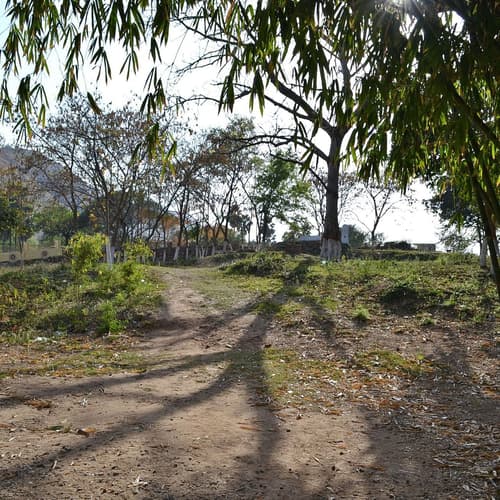 วัดเวฬุวัน