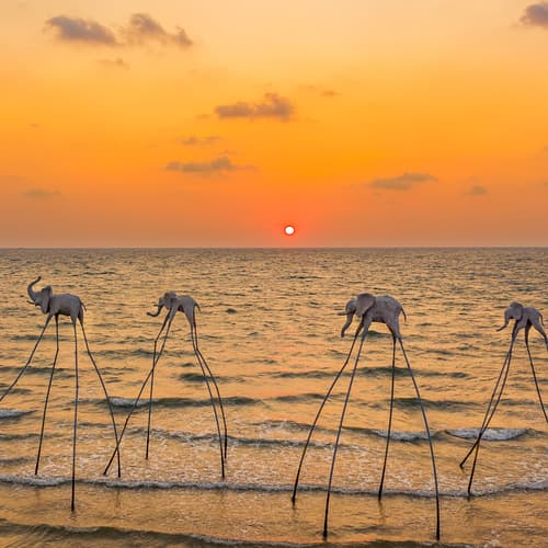 ซันเซ็ต ซานาโต บีชคลับ