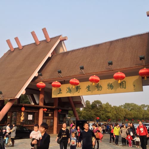 สวนสัตว์ป่าเซี่ยงไฮ้