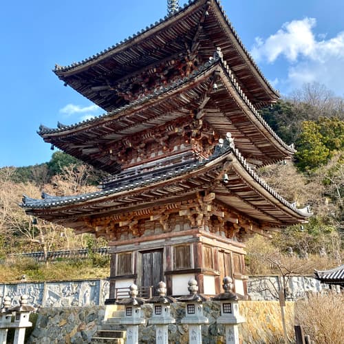 วัดสึโบซากะเดระ