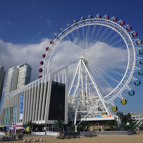 ซกโชอาย