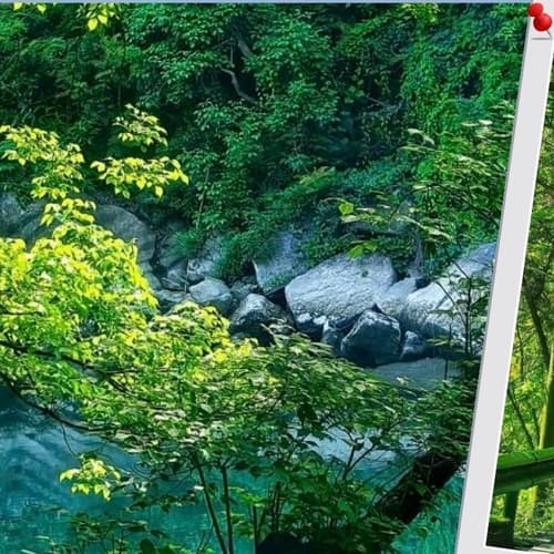 อุทยานป่าไม้บู๋เอ๋อร์เหมิน